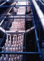 Носители биомассы,
    установленные в аэротенк очистных сооружений г. Трщебич (Чешская Республика), 1992 г. 